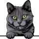 images/mymoments/117/02_karakter_allatok/Pisică/russian-blue-copy_trimmed.png