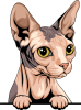 images/mymoments/117/02_karakter_allatok/Pisică/shynx---grey-and-nude-copy_trimmed.png