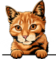 images/mymoments/117/02_karakter_allatok/Pisică/tabby---ginger-copy_trimmed.png