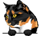 images/mymoments/117/02_karakter_allatok/Pisică/tortoisesell-copy_trimmed.png