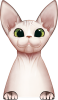 images/mymoments/121/02_KARAKTER_allatok/1_SZISZA/1_Cicak/11_trimmed.png