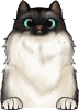 images/mymoments/121/02_KARAKTER_allatok/1_SZISZA/1_Cicak/16_trimmed.png