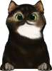 images/mymoments/121/02_KARAKTER_allatok/1_SZISZA/1_Cicak/19_trimmed.png