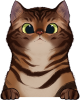 images/mymoments/121/02_KARAKTER_allatok/1_SZISZA/1_Cicak/1_trimmed.png