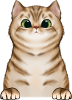 images/mymoments/121/02_KARAKTER_allatok/1_SZISZA/1_Cicak/23_trimmed.png