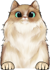 images/mymoments/121/02_KARAKTER_allatok/1_SZISZA/1_Cicak/25_trimmed.png