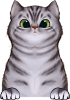 images/mymoments/121/02_KARAKTER_allatok/1_SZISZA/1_Cicak/2_trimmed.png