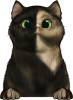 images/mymoments/121/02_KARAKTER_allatok/1_SZISZA/1_Cicak/32_trimmed.png