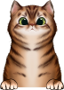 images/mymoments/121/02_KARAKTER_allatok/1_SZISZA/1_Cicak/39_trimmed.png