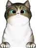 images/mymoments/121/02_KARAKTER_allatok/1_SZISZA/1_Cicak/3_trimmed.png