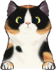 images/mymoments/121/02_KARAKTER_allatok/1_SZISZA/1_Cicak/45_trimmed.png