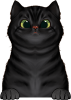 images/mymoments/121/02_KARAKTER_allatok/1_SZISZA/1_Cicak/50_trimmed.png