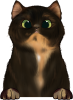 images/mymoments/121/02_KARAKTER_allatok/1_SZISZA/1_Cicak/51_trimmed.png