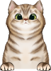 images/mymoments/121/02_KARAKTER_allatok/1_SZISZA/1_Cicak/52_trimmed.png