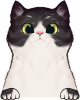 images/mymoments/121/02_KARAKTER_allatok/1_SZISZA/1_Cicak/8_trimmed.png