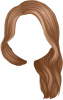 images/mymoments/137/08_nHajak/hair-10-4_trimmed.png