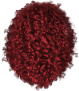 images/mymoments/149/02_HAJ/06/06_red_trimmed.png