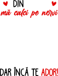 fond-1 fond-1