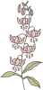 images/mymoments/156/02_KARAKTEREK_viragok/01_o_floare/01/03_trimmed.png