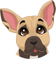 images/mymoments/159/01_KARAKREREK/Caine/11-Puggle_trimmed.png