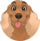 images/mymoments/159/01_KARAKREREK/Caine/23-Cocker-Spaniel_trimmed.png