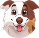 images/mymoments/159/01_KARAKREREK/Caine/34-American-Shepherd_trimmed.png