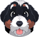 images/mymoments/159/01_KARAKREREK/Caine/45-Bernese-Mountain_trimmed.png