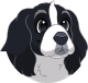 images/mymoments/159/01_KARAKREREK/Caine/55-Pyrenean-Mastiff_trimmed.png