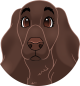 images/mymoments/159/01_KARAKREREK/Caine/56-Irish-Setter_trimmed.png