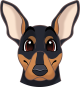images/mymoments/159/01_KARAKREREK/Caine/65-German-Pinscher_trimmed.png