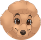 images/mymoments/159/01_KARAKREREK/Caine/86-Miniature-Poodle_trimmed.png