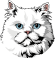 images/mymoments/159/01_KARAKREREK/Pisică/Persian_trimmed.png