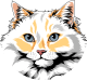 images/mymoments/159/01_KARAKREREK/Pisică/Raggamuffin_trimmed.png