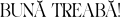 images/mymoments/161/01_feliratok/03_Buna-treaba_trimmed.png