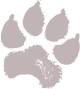 images/mymoments/167/01_KARAKTEREK/01_egy_karakter/01_egy_karakter/02_Caine/05_trimmed.png