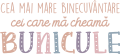 images/mymoments/167/02_FELIRATOK/08_bunicule_trimmed.png