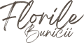 images/mymoments/171/01_FELIRAT/04_trimmed.png