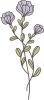 images/mymoments/171/02_KARAKTEREK_viragok/01_o_floare/01/01_trimmed.png