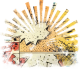 images/mymoments/173/02_HATTEREK/04_trimmed.png