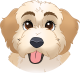images/mymoments/176/01_KARAKREREK/Caine/1-Cockapoo_trimmed.png