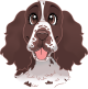 images/mymoments/176/01_KARAKREREK/Caine/12-French-Spaniel_trimmed.png