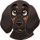images/mymoments/176/01_KARAKREREK/Caine/14-Coonhound_trimmed.png
