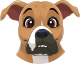 images/mymoments/176/01_KARAKREREK/Caine/18-Boxer_trimmed.png