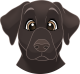 images/mymoments/176/01_KARAKREREK/Caine/19-Vizsla_trimmed.png