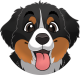 images/mymoments/176/01_KARAKREREK/Caine/30-Bernedoodle_trimmed.png