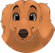 images/mymoments/176/01_KARAKREREK/Caine/33-Goldendoodle_trimmed.png