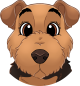 images/mymoments/176/01_KARAKREREK/Caine/42-Airedale-Terrier_trimmed.png