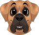images/mymoments/176/01_KARAKREREK/Caine/48-English-Mastiff_trimmed.png