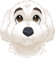 images/mymoments/176/01_KARAKREREK/Caine/5-Bichon_trimmed.png