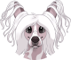 images/mymoments/176/01_KARAKREREK/Caine/54-Chinese-Crested_trimmed.png